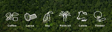 Avrupa Birliği’nden ticarette yeni bir çevresel sürdürülebilirlik düzenlemesi: AB Ormansızlaşma Yönetmeliği