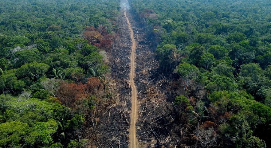 Avrupa Birliği’nden ticarette yeni bir çevresel sürdürülebilirlik düzenlemesi: AB Ormansızlaşma Yönetmeliği
