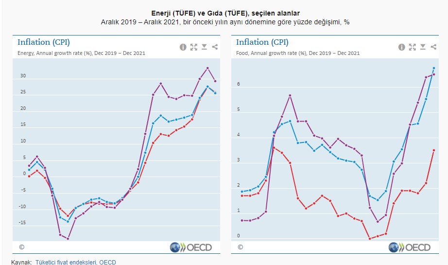Türkiye’nin enflasyonu OECD’nin enflasyonunu yukarı çekti